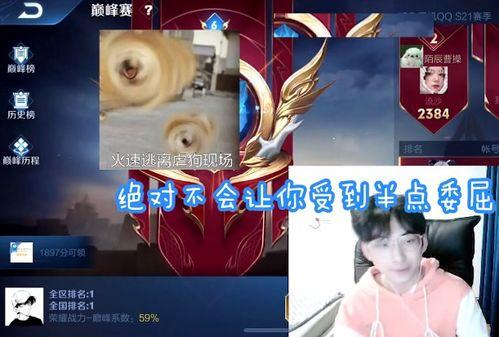 吃瓜直播间免费吃瓜怎么弄,轻松解锁免费吃瓜直播间的秘密技巧